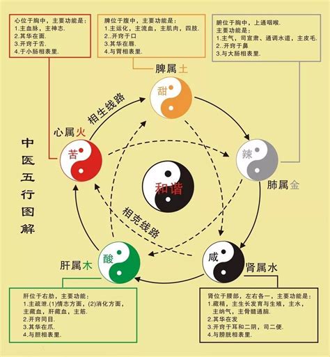 东五行|五行所代表的颜色、方位、形状、数字以及应用